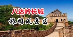 鸡巴草逼逼中国北京-八达岭长城旅游风景区