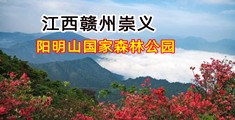 爆草视频